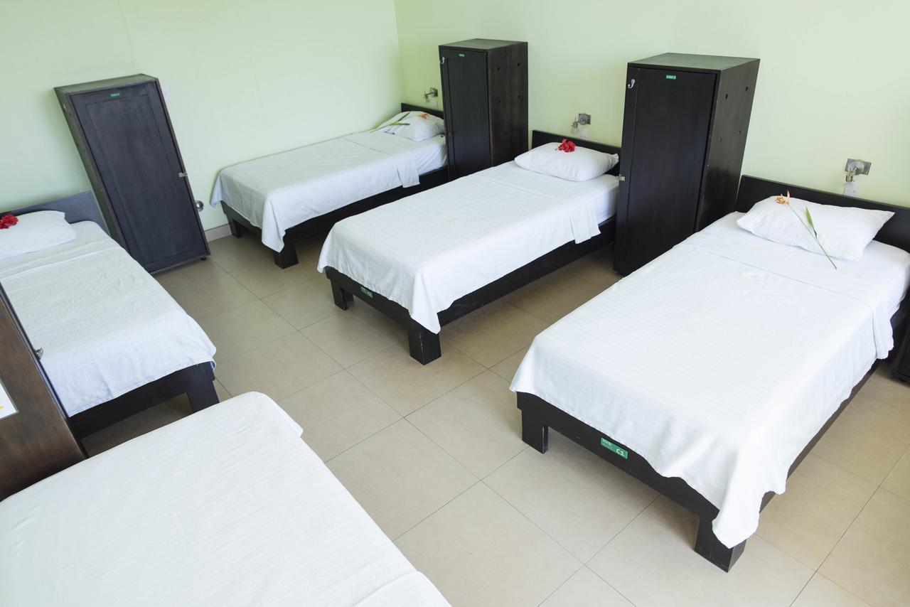 Room2Board Hostel And Surf School Jacó Dış mekan fotoğraf